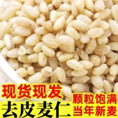 新去皮新麦仁农家自产东北精选小麦仁去皮麦仁粒谷物煮粥配料杂粮