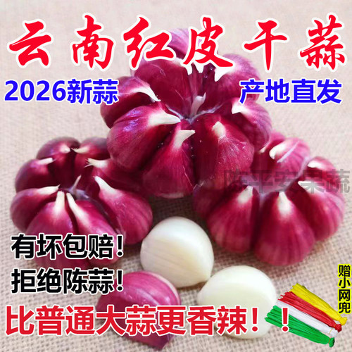 云南紫皮大蒜新干蒜红蒜香蒜