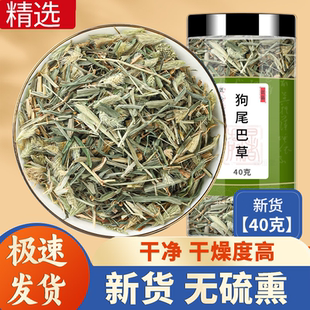 狗尾巴草正品中药材新鲜干货九尾草狗尾草毛虫草点痣干草泡茶泡水