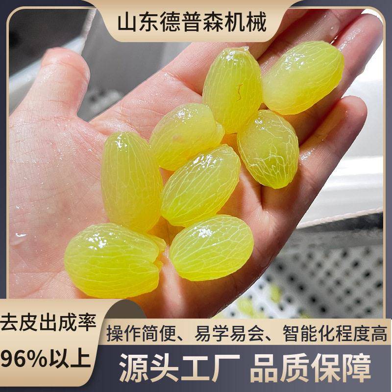 新型纯物理果蔬爆皮机葡萄土豆全自动蒸汽去皮机