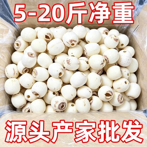 【5斤-20斤净重批发】湖南湘潭白莲子磨皮去芯莲子新货粉糯易煮