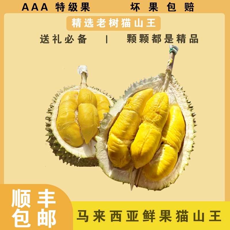 猫山王鲜果榴莲马来西亚进口D197榴莲新鲜带壳自然熟顺丰包邮