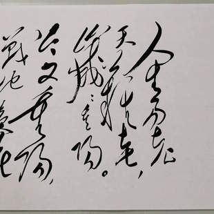 沁园春诗词采桑子重阳复古书法字画草书微喷仿古装裱玄关客厅装饰