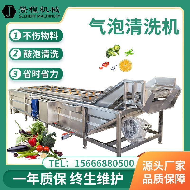 不锈钢果蔬气泡清洗机 全自动大型喷淋式洗菜机 商用净菜清洗设备