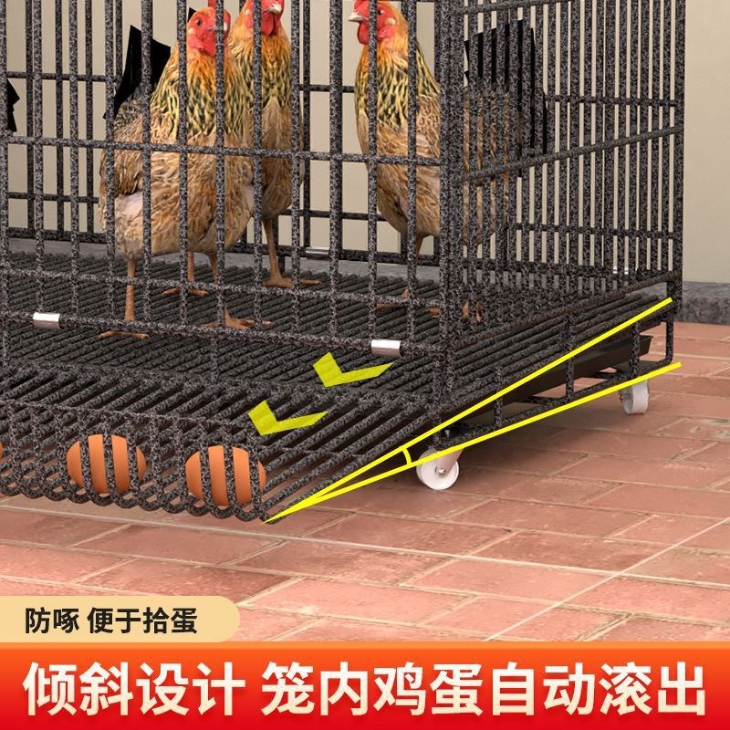 鸡笼子家用特大号家禽阳台折叠狗笼养殖清粪室外自动X滚蛋鸡窝鸡