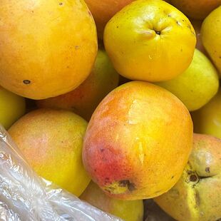 云南德宏特产新鲜水果现摘现发红花木瓜凉拌生吃泡酒炖鸡酸木瓜