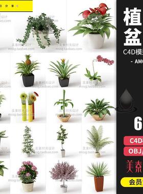 室内植物绿植花卉鲜花盆栽装饰摆件C4D模型fbx obj 3D素材AM066
