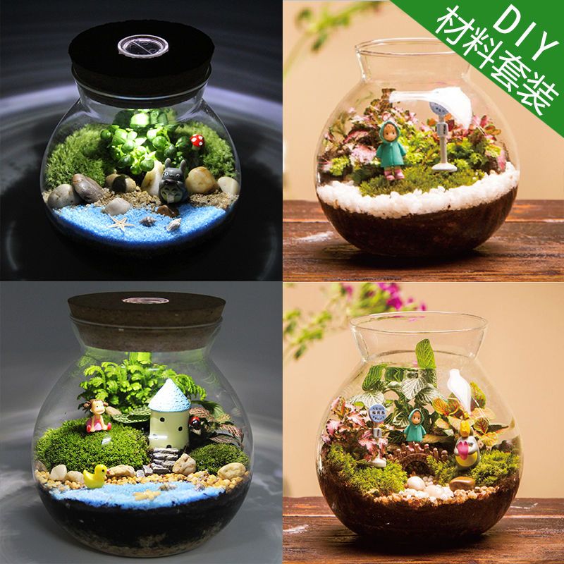新疆包邮微观苔藓绿植物玻璃微景观组合盆栽生态瓶DIY材料包盆景