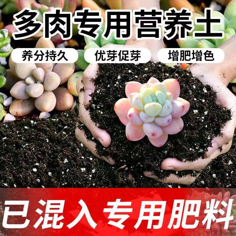 新疆包邮通用营养土绿植