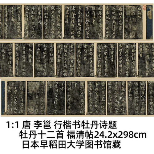 11唐李邕牡丹诗题牡丹十二首