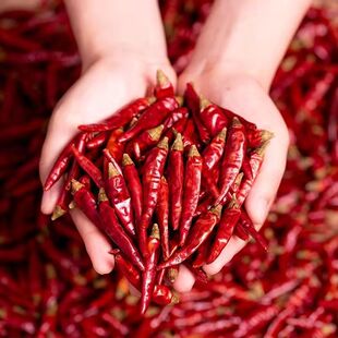 干辣椒特辣小米辣椒魔鬼椒辣椒粉辣椒面微辣红干辣椒段朝天椒批