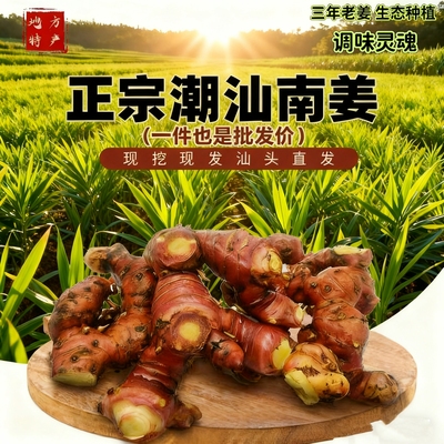 汕头直发正宗潮汕老南姜商用首选