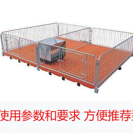 厂家供应 小猪保育床 仔猪保育床母猪产床双体两栏带食槽 2.1*3.6