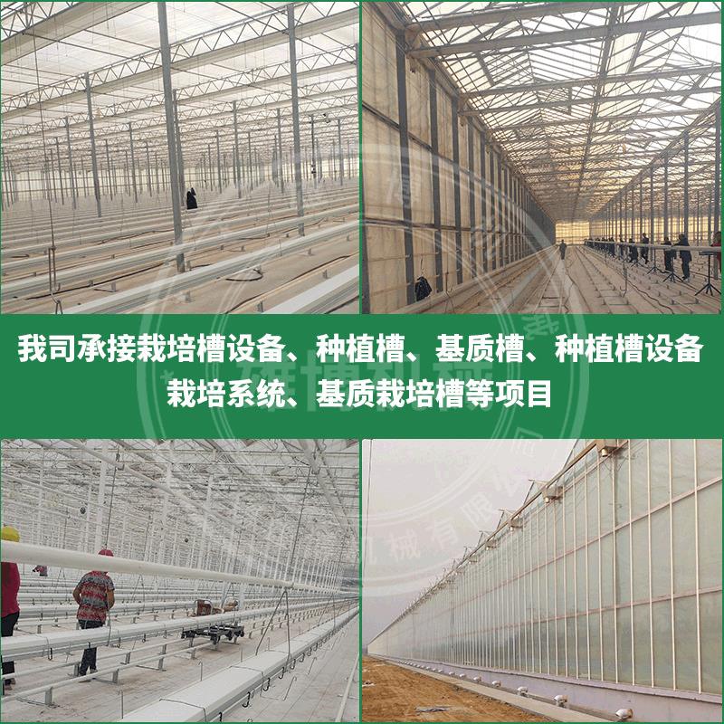草莓种植槽椰糠栽培草莓立体蔬菜栽培槽荷兰模式椰糠种植槽