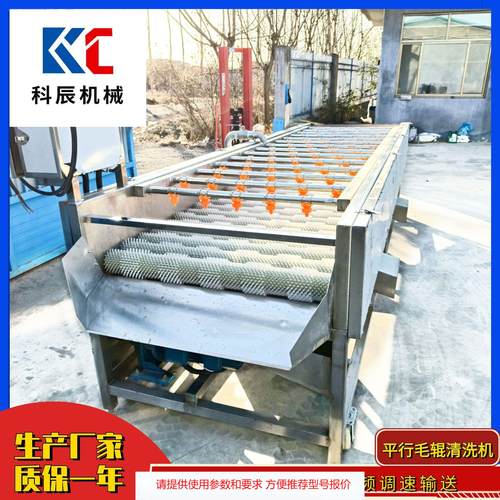 商用萝卜平行毛辊清洗机 海蛎子毛刷清洗机 红薯平行毛辊清洗设备