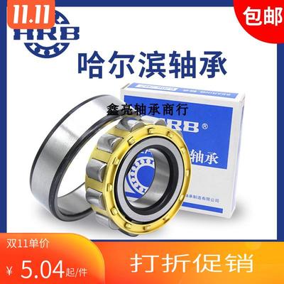 HRB哈尔滨减速机偏心轴承RN205 206 307 309  312 219 222E 228M