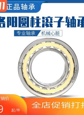 洛阳LYC圆柱轴承NU NJ405 406 407 408 409 410 411 412  413 EM