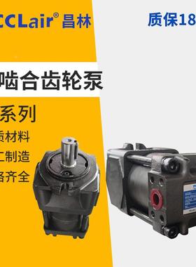 NT2齿轮泵NB2-G10F NB3-G16F C160F D250F G20F NB5-C32F140 G50F