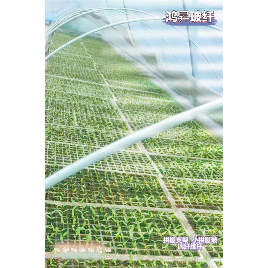 20支装农用拱棚支架温室玻璃纤维杆，玻纤棒，小拱棚杆