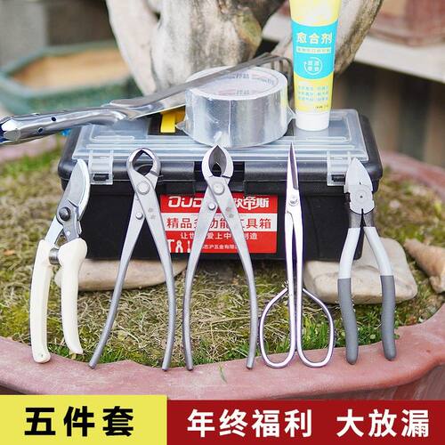 辛禾不锈钢 盆景球节剪球钳盆栽树瘤修剪钳园艺制作造型养护工具
