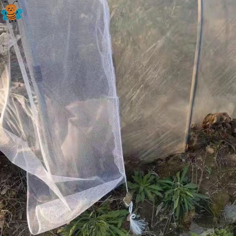 热销农用防虫网防蜜蜂苍蝇网套无籽西瓜专用防蜂网果蔬大棚门口网