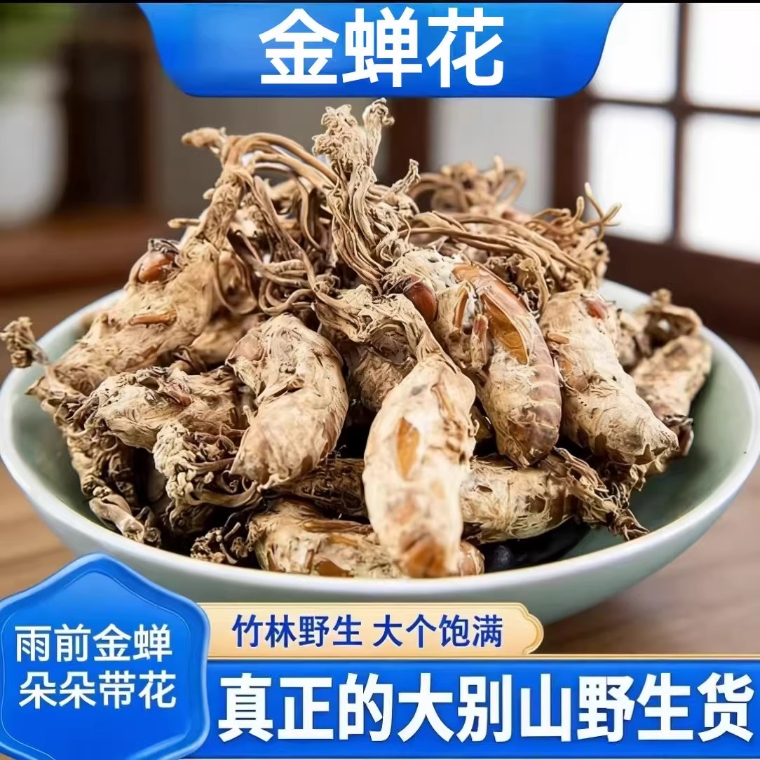 正宗大别山金蝉花野生虫草花竹林中药材野生无硫金蝉花虫草包邮