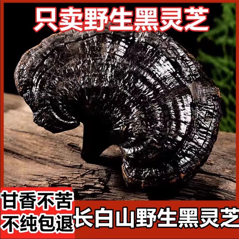 黑灵芝野生长白山500克灵芝切片林芝干货整朵正品泡酒灵芝养生茶