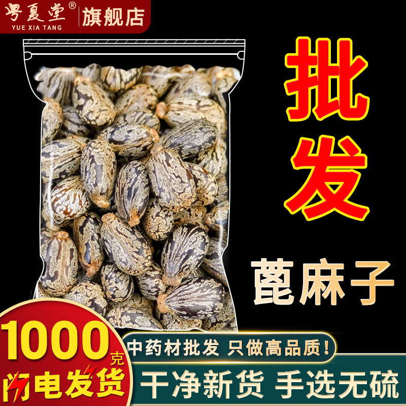 安国中药材市场批 发蓖麻子1000g克野生蓖麻子种子 篦麻子 蓖麻仁