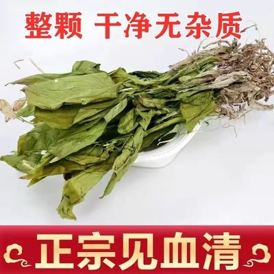 云南见血清新货250g中药材整颗见血清三角枫羊耳蒜立地好新鲜干货