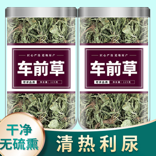 车前草正品中药材500g新鲜野生干货车前草袋泡茶泡水的功效与作用