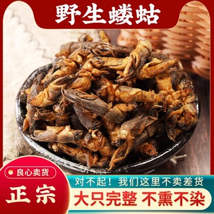 蝼蛄中药500g新货蝼蛄干东北野生蝲蝲蛄干地拉蛄天蝼土狗子蝼蛄粉