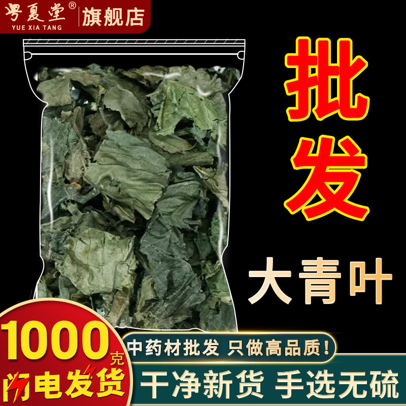 安国中药材批 发大青叶1000克 大青叶泡茶 板蓝根叶子可磨粉散装