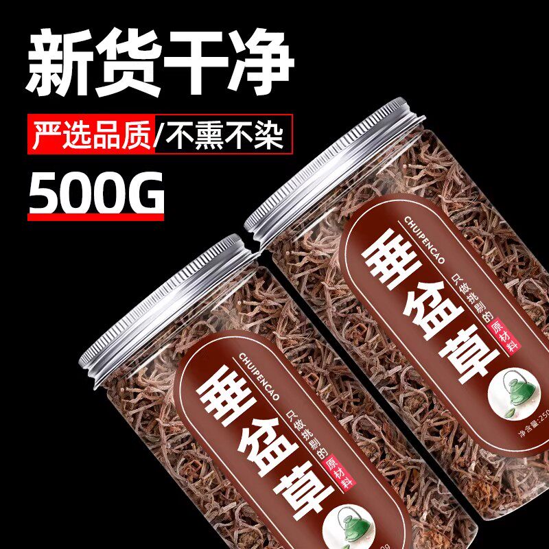 垂盆草正品官方正品新鲜药用食用中药材小叶野生旗舰店粉垂盆草干