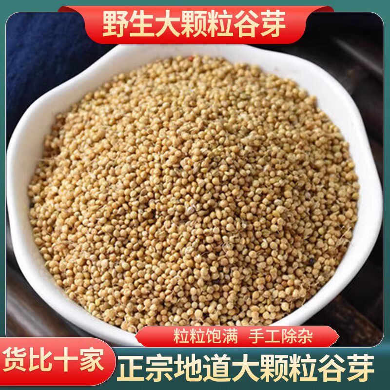 谷芽中药材炒谷芽谷牙生谷芽炒熟的泡茶泡水另售炒麦芽山楂鸡内金
