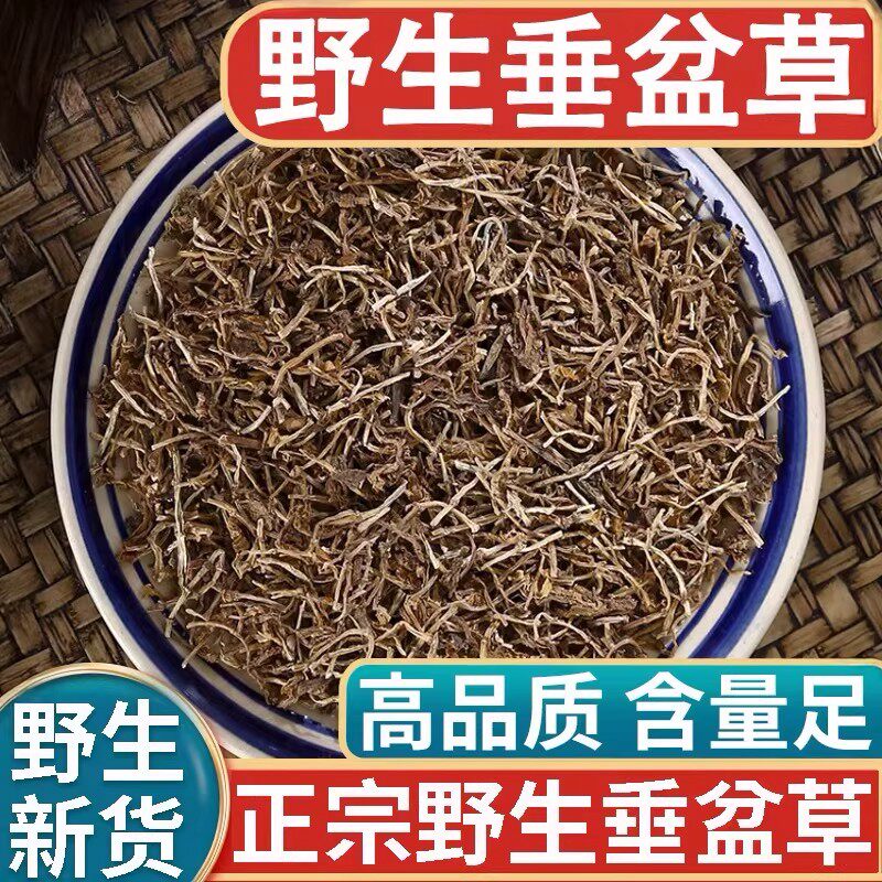 正品天然野生垂盆草新货中药材500g正宗干货老鼠芽白蜈蚣狗牙全草