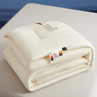 费斯巴赫德绒发热被保暖螺杆亲肤面料免被套抗菌防螨被子