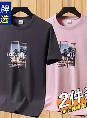 VISVIM BESSEL短袖t恤夏季男上衣潮流圆领纯棉体恤半袖打底衫百搭