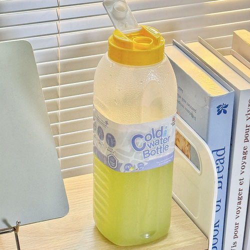 夏日可放冰箱冷水壶家用夏天冷萃杯学生上课凉水杯冷泡茶大容量