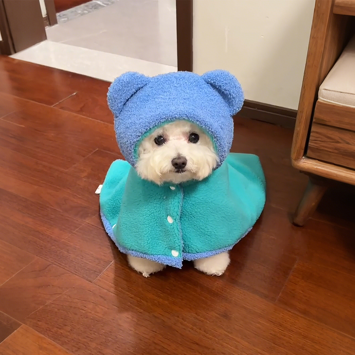 狗狗衣服小型犬冬季保暖披风比熊泰迪睡袍加绒毯子防风御寒斗篷