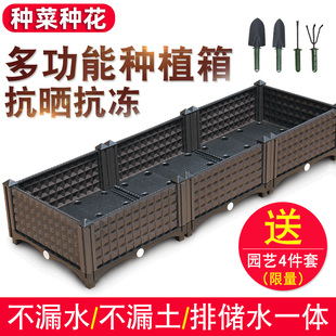 种菜专用箱塑料花盆家用阳台种菜盆种G植箱爬藤架花架支撑杆葡萄