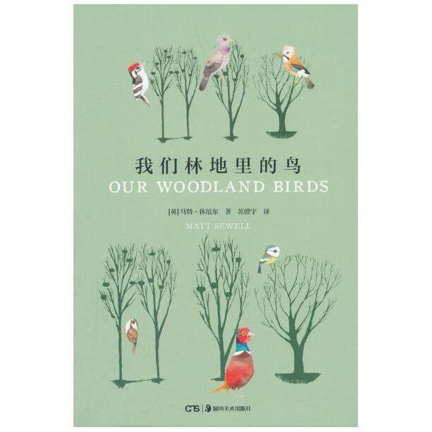 正版世界上的鸟儿我们林地里的鸟马特休厄尔