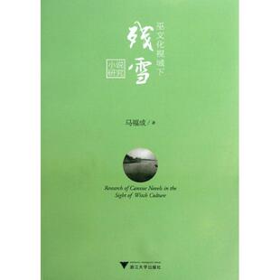 正版巫文化视域下残雪小说研究马福成著