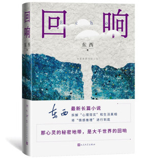 正版回响东西