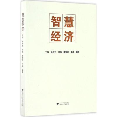 正版智慧经济王辉徐理虹付强李雪灵于洋著