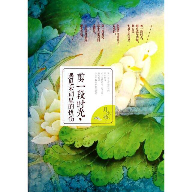 正版剪一段时光遇见宋词里的忧伤宋词是开在绝情谷的绚烂情花中了爱情的毒受了伤都可以在宋词中找到疗伤的解药月小妆