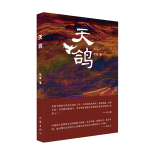 正版天鸽意料之外情理之中窥见更为广阔的世道人心杜斌
