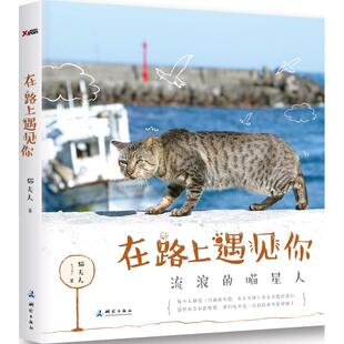 正版在路上遇见你流浪的喵星人猫夫人著