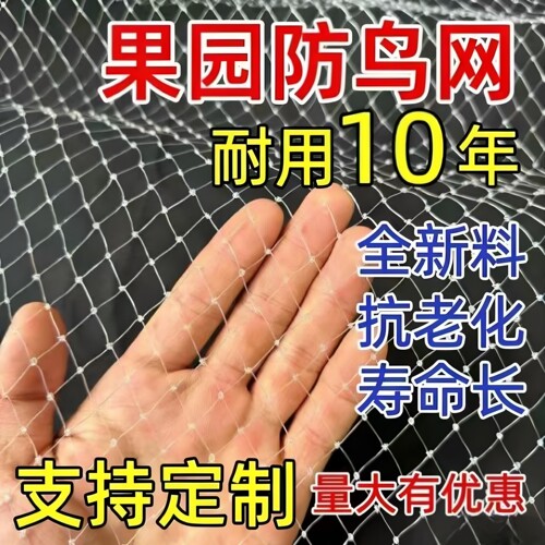 防小鸟的网泥鳅青蛙阳台种植养殖