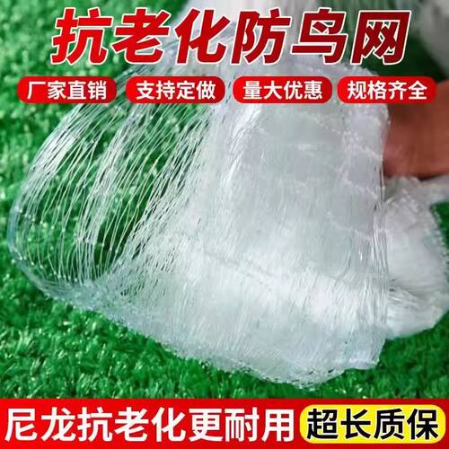 防小鸟的网泥鳅青蛙阳台种植养殖