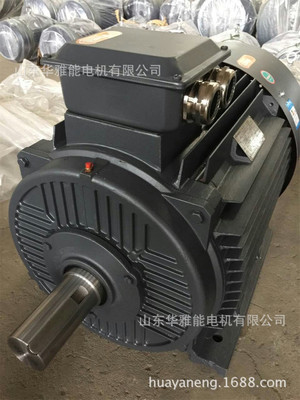 YBZS112M-6-2.2电机配PT100测温YBZ电机非轴端闷盖保留风罩安装孔